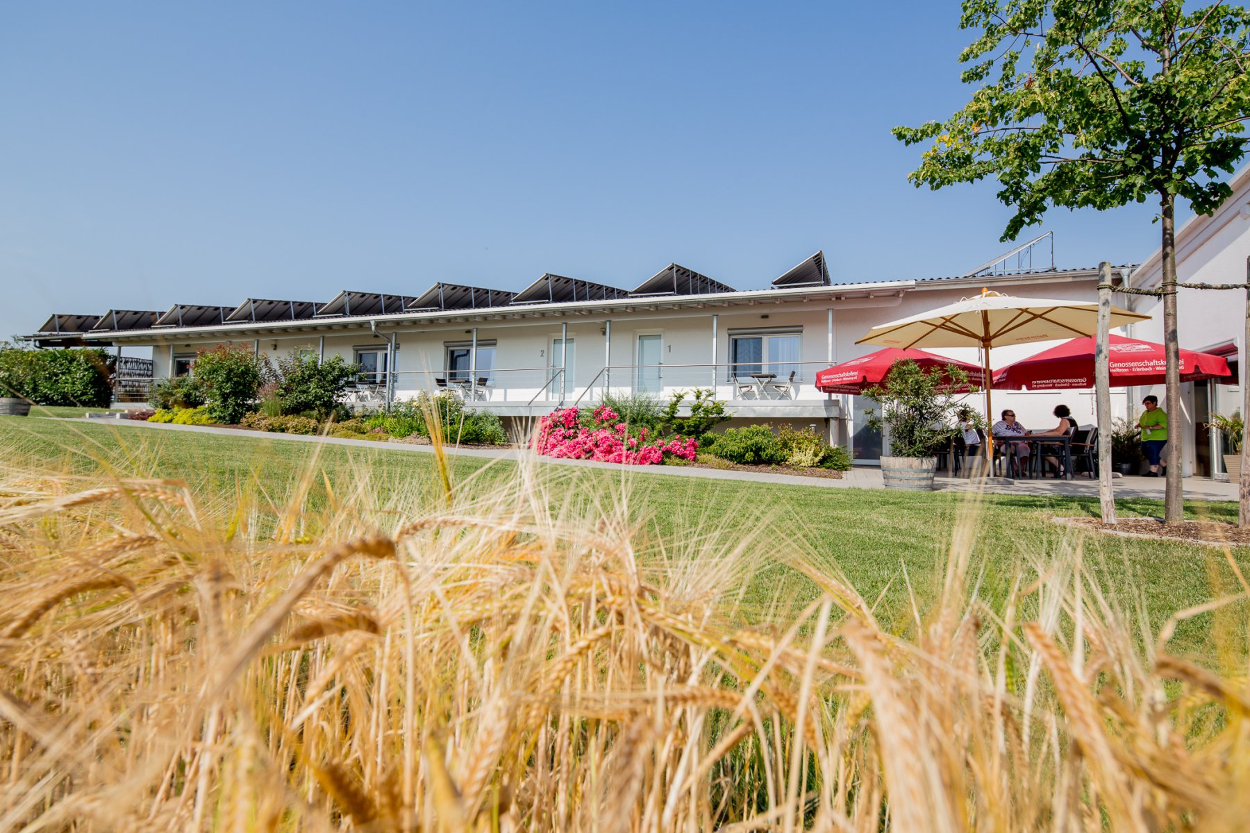 cafe_und_wein_sii_an_9671.jpg